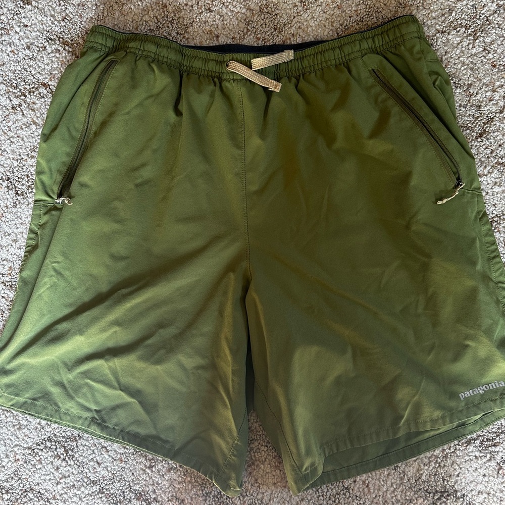 Patagonia Men's Green Shorts